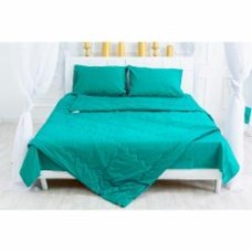 Одеяло антиаллергенное Thinsulate №2325 Caterina (2200003027457) 110x140 см MirSon