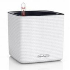 Кашпо Lechuza Cube Color 16 квадратный белый (13580) Кашпо Lechuza Cube Color 16 квадратный белый (13580)