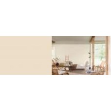 Краска латексная FT Professional Perfect Interior мат F4.06.78 3 л