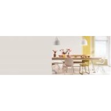 Краска акриловая FT Professional Perfect Interior глубокий мат GN.00.85 5 л