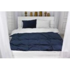 Комплект постельного белья Велюр Winter Frost 28-0001+28-0006 Bellflower Velvet 160х220 см синий/белый MirSon