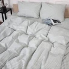 Комплект постельного белья 17-0600 Stripe White Gray Бязь 2х143х210 см светло-серый MirSon