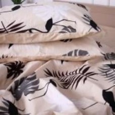 Наволочка Ranforce Elite 17-0001 Ramiro 50x50 см мульти MirSon