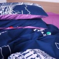 Наволочка Ranforce Elite 17-0195-1 Reinar 40x40 см мульти MirSon