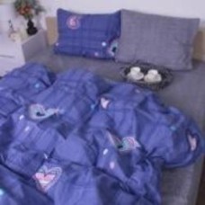 Наволочка Ranforce Elite 17-0366 Lusaka 50x50 см мульти MirSon