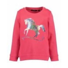 Реглан для девочки Blue Seven р.128 фламинго 764674 X* Реглан для девочки Blue Seven р.128 фламинго 764674 X*