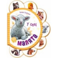 Книга Ирина Солнышко «У селі» 9-789-667-508-593