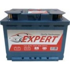 Аккумулятор автомобильный Expert 60Ah 510A 12V «+» слева