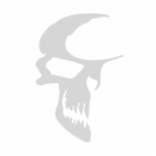 Светоотражающая наклейка Skull
