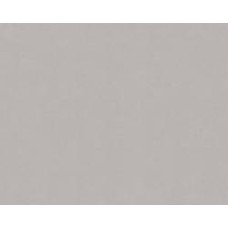 Обои виниловые на флизелиновой основе A.S. Creation Trendwall 37272-1 0,53x10,05 м