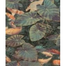 Обои виниловые на флизелиновой основе Grandeco Wanderlust WL2401 0,53x10,05 м