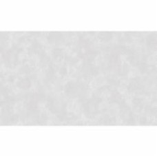 Обои виниловые на флизелиновой основе Status 411ST10 1,06x10,05 м