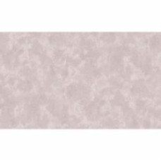Обои виниловые на флизелиновой основе Status 411ST19 1,06x10,05 м
