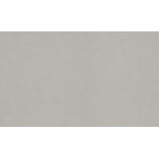 Обои виниловые на флизелиновой основе Status 402ST07 1,06x10,05 м