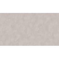 Обои виниловые на флизелиновой основе Sintra OMEGA, CRISTAL UNI 524633 1,06x10,05 м