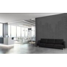 Dimense Настенное покрытие (панно) неокрашенное DIMENSE Decor 3,06x2,8м 8,57 m2 Растущий город DP-0300/2