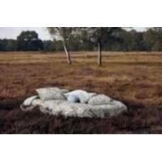 Комплект постельного белья Ophelia Blue 2 разноцветный принт Essenza