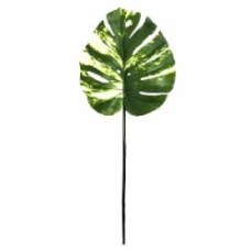 Веточка декоративная Monstera Alba 73 см TW-54 Engard