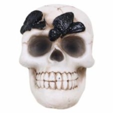 Статуэтка Skull with Butterfly 7х9х8 см APF952120 Koopman