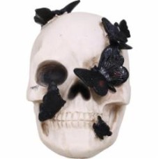 Статуэтка Skull with Butterfly 13х19х19 см APF952130 Koopman