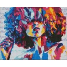 Алмазная мозаика Яркий образ 40х50см Идейка