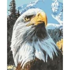 Набор со стразами Мощная птица 30x40 см (У) GoToArt