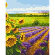 Картина по номерам Бесконечные просторы 40х50 см ART CRAFT