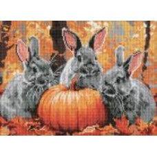 Алмазная мозаика Приключения кролика ©art_selena_ua Идейка