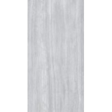 Плитка Allore Group Travertine Silver F PC R Mat 60x120 см