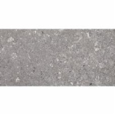 Плитка Ceramika Paradyz Aragorn Grys Mat 30x60