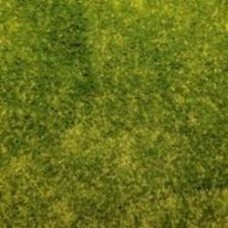 Ковролин Karat Carpet Fantasy (12000/130) 4 м