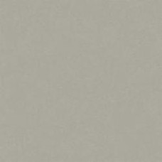 Линолеум RUBY PREMIUM WARM MEDIUM GREY Tarkett 4 м Линолеум RUBY PREMIUM WARM MEDIUM GREY Tarkett 4 м