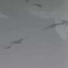 3D-панель с ПВХ самоклеящаяся HODM Белый мрамор 600x300 мм