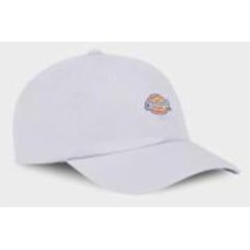 Кепка Dickies HARDWICK DK0A4TKVH181 os фиолетовый