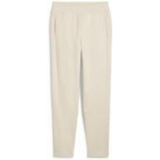 Брюки Puma EVOSTRIPE WINTERIZED PANTS 68167487 р. S бежевый