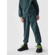 Брюки 4F TROUSERS CAS M761 4FJWAW24TTROM761-40S р. 164 зеленый