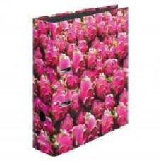 Папка-регистратор World of Fruit Dragonfruit А4 8 см 11080678 Herlitz