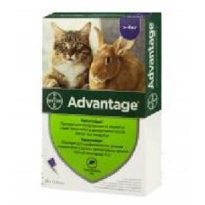 Капли Bayer для котов и кроликов Advantage 80 от блох 91001 (за 1 п-тку, 4 в уп.) шт. 0,8 мл