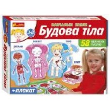 Пазлы Ranok Creative Строение тела 400116