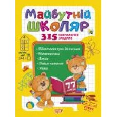 Книга-развивайка Анастасия Фисина «Майбутній школяр. Скоро до школи' 978-966-939-746-1