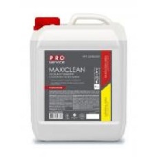 Средство для ванной комнаты PROservice MAXICLEAN 5 л