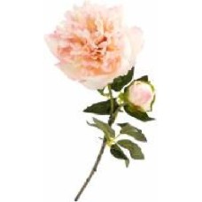 Растение искусственное Пион 4069 LPK Растение искусственное Пион 4069 LPK