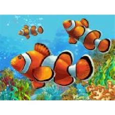 Холст на картоне с контуром Коралловые рыбки 30x40 см Rosa Start