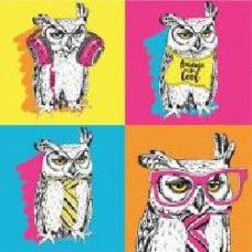 Холст на картоне с контуром Pop Art Owl 30х30 см Rosa Start