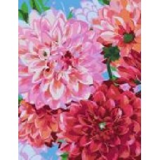 Картина по номерам Цветы георгина 35x45 см Rosa Start